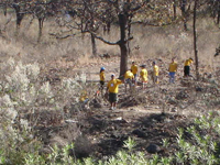 Medidas de Seguridad Contra Incendios