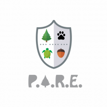 Escudo PARE / Diseño: Moisés Padilla