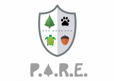 Escudo PARE / Diseño: Moisés Padilla